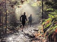 占卜你会轻易放弃吗