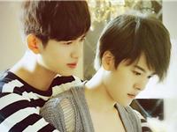 恋爱不在乎年龄甚至性别的星座