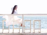 做事情最具毅力的生肖君