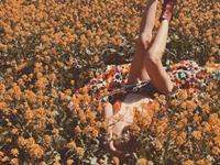 占卜你是个单纯老实的人吗