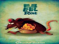 生肖鼠君的理财致富之路