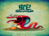 生肖蛇君的理财致富之路