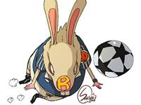 生肖兔的底线与抵触面