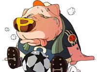 生肖猪的底线与抵触面