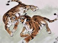 生肖虎被甩之后的表现