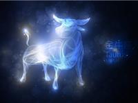 男友出柜了，金牛女会怎么办