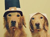 生肖狗改善人缘的方法