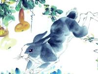 生肖兔什么年龄段有可能一夜暴富