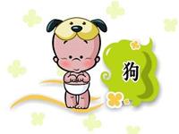 揭秘生肖狗的恋爱特点