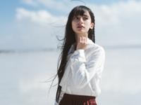 苏民峰2017年生肖鸡运势