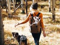 塔罗测你与第三者之间的差距