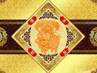 当不会做饭的生肖猪进了厨房