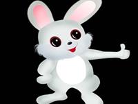 专属生肖兔的人的风水