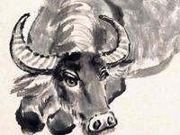 生肖牛关乎前途的建议