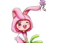 生肖兔男在感情方面的特征