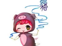 生肖猪男在感情方面的特征