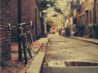 这些星座为什么没朋友