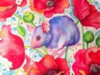 属鼠2017年运势及运程 属鼠人2017年每月运势