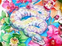 属蛇2017年运势及运程 属蛇人2017年每月运势