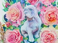 属狗2017年运势及运程 属狗人2017年每月运势