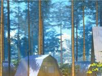 2017年身体容易出现问题的生肖