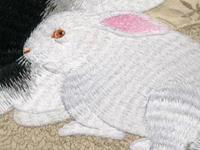 年前生肖兔需要谨防哪些事