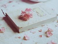 2017年运气持续低迷的生肖