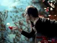 李云天塔罗生肖运程（11.14-11.20）