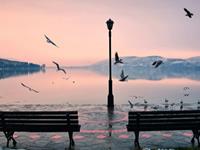 Pandora占星小巫本周塔罗运势（11.14-11.20）