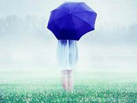 超灵验开运大师2017年生肖狗运势