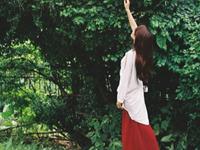 宋韶光2017年生肖牛整体运程