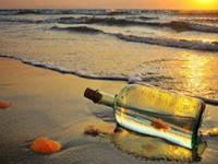 宋韶光2017年生肖狗整体运程