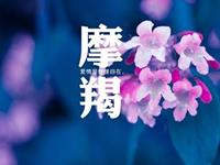 摩羯座对待爱情的另一种方式