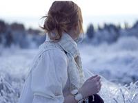 智商高于一般人的生肖