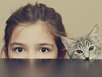 哪些生肖一生注定不平凡？