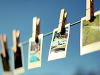 12月份生肖兔爱情运势走向