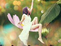 12月份生肖狗爱情运势走向