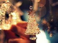 圣诞节生肖蛇最想收到的礼物