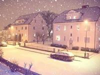 圣诞节生肖狗最想收到的礼物