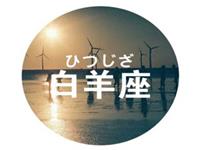 白羊座当导演最想拍什么片