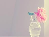 这三大生肖天生就是好命