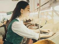 肖百奇2017年十二生肖整体运势