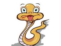 生肖蛇新年注意绕开这些陷阱