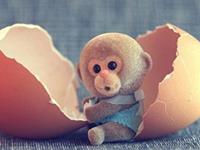 生肖猴新年注意绕开这些陷阱