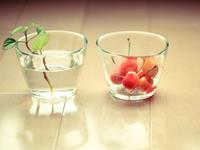 结婚后最难伺候的生肖