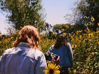 杨清华2017年兔生肖运势