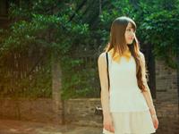 杨清华2017年十二生肖运势