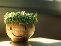 双星记2017年星座运势摩羯座