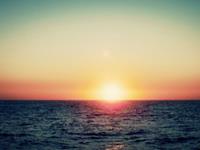 2017生肖猴要注意的情感问题