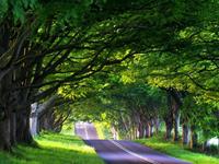 白羊座在旅途中会为了什么而停留